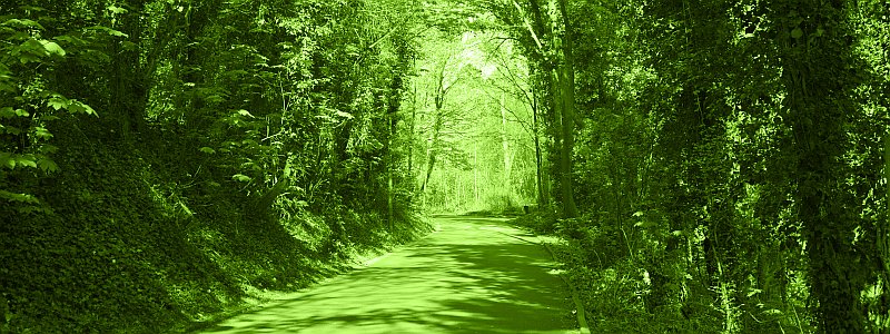 green-nature-path